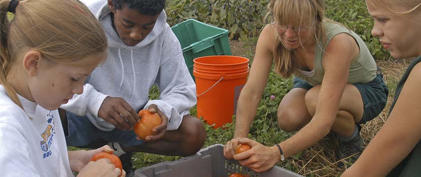 youth farmers harvesting crops