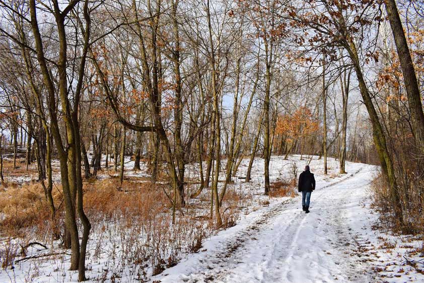 A man walks down a wooded trail at Murphy-Hanrehan Park Reserve in the winter.