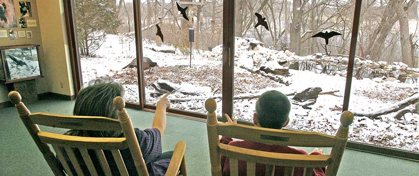 Two people sit in chairs and watch birds out the window