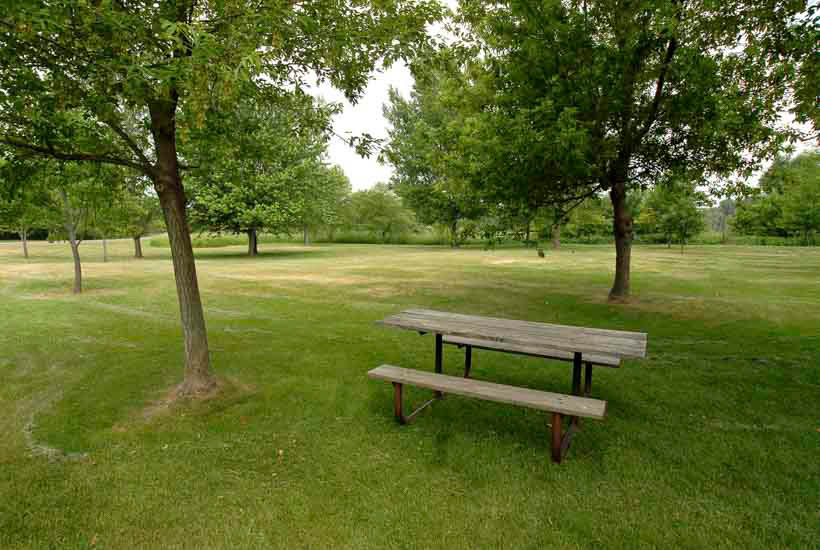 Picnic table in shaded area