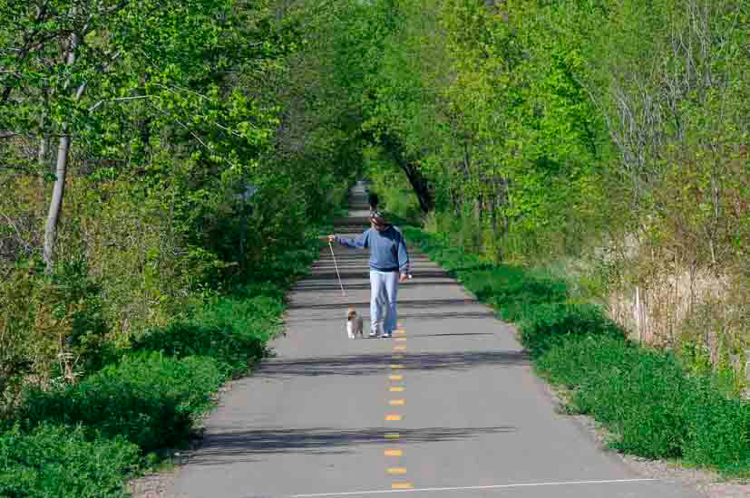 Man walking a dog on a paved trail