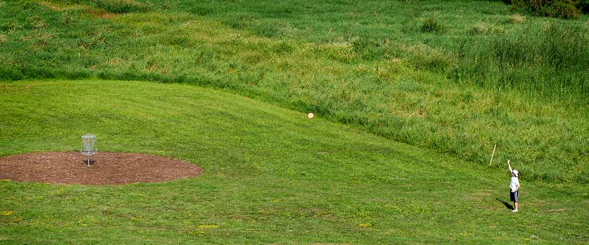 Disc golfer in wide open space