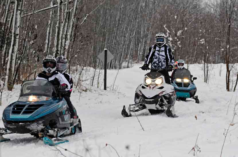 Snowmobilers on wooded trail