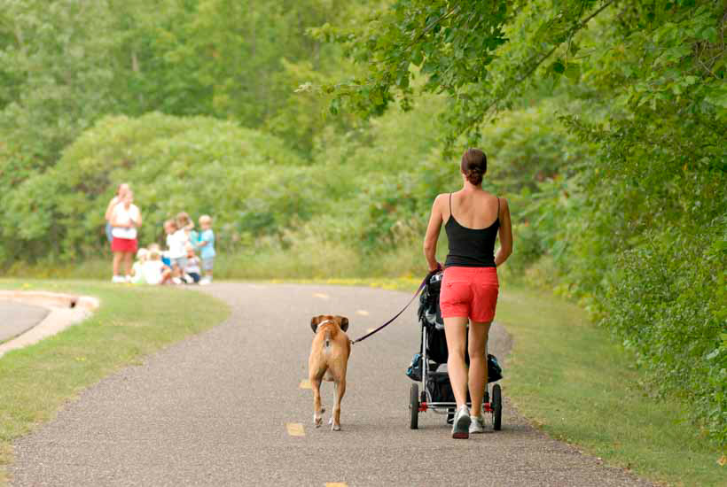 Women walking with stroller and leashed dog
