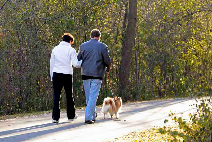 Couple walking dog on wooded trail