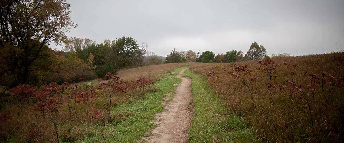 Turf trail cuts through sumac that has turned red in the fall.