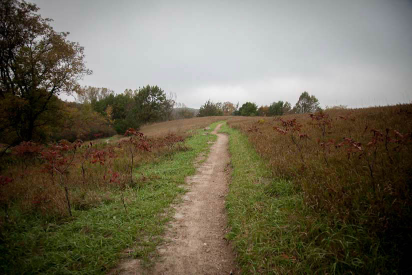 Hiking path in field