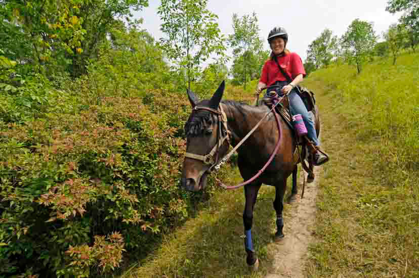 Horseback rider on trail