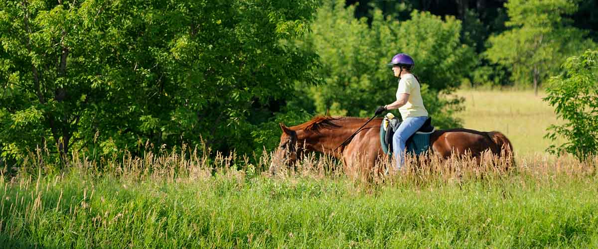 Horseback rider in tall grass
