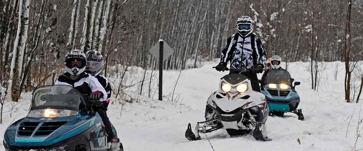 Snowmobilers on wooded trail
