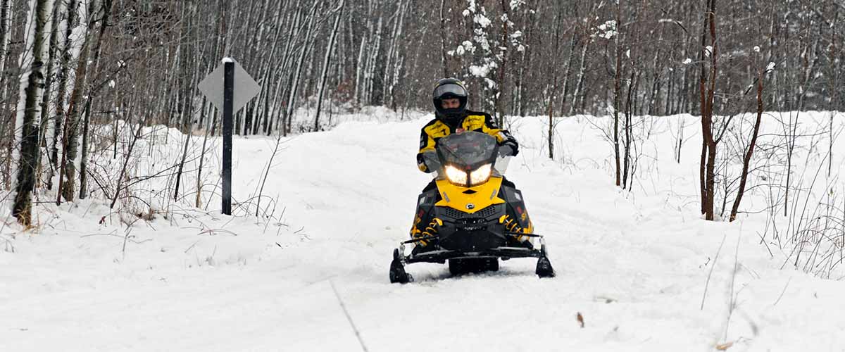 Snowmobiler on wooded trail