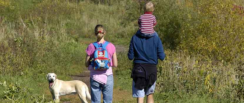 family walking with dog off-leash