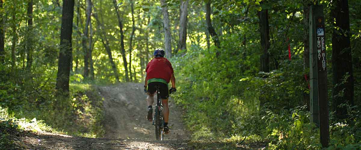 a mountain biker on a wooded trail