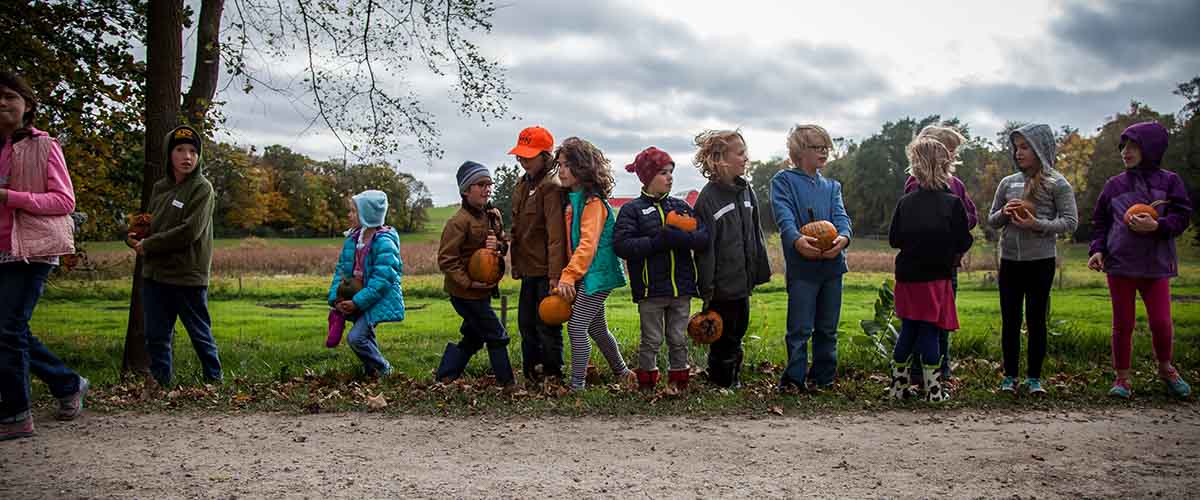 A line of students hold pumpkins