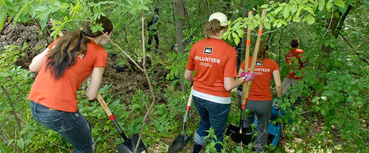 A group of volunteers with shovels in a forest