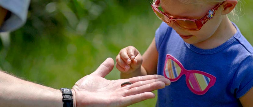 girl touching insect