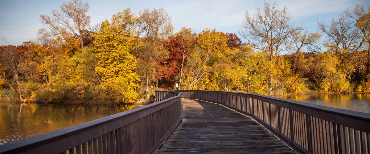 Walkway over water with fall colors
