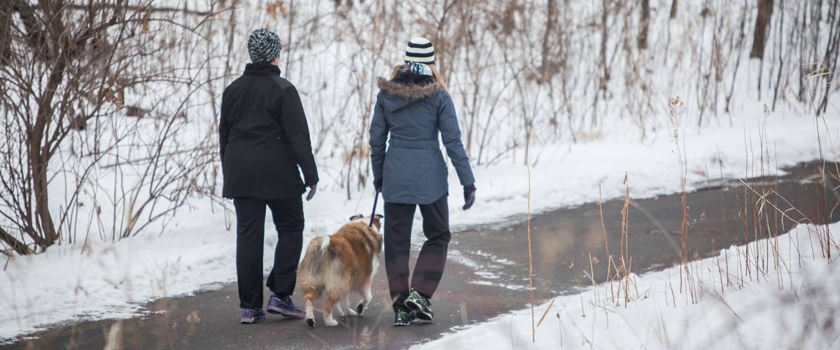 two people walking a dog on a paved trail in the winter.