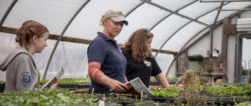 a teen girl job shadowing gale woods farm employees in a greenhouse. 