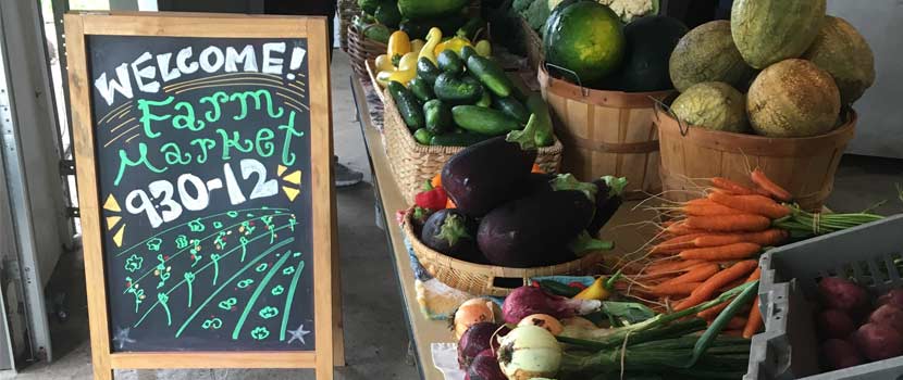 A chalkboard sign saying "welcome to the farm market, 9:30-12" next to a table of produce