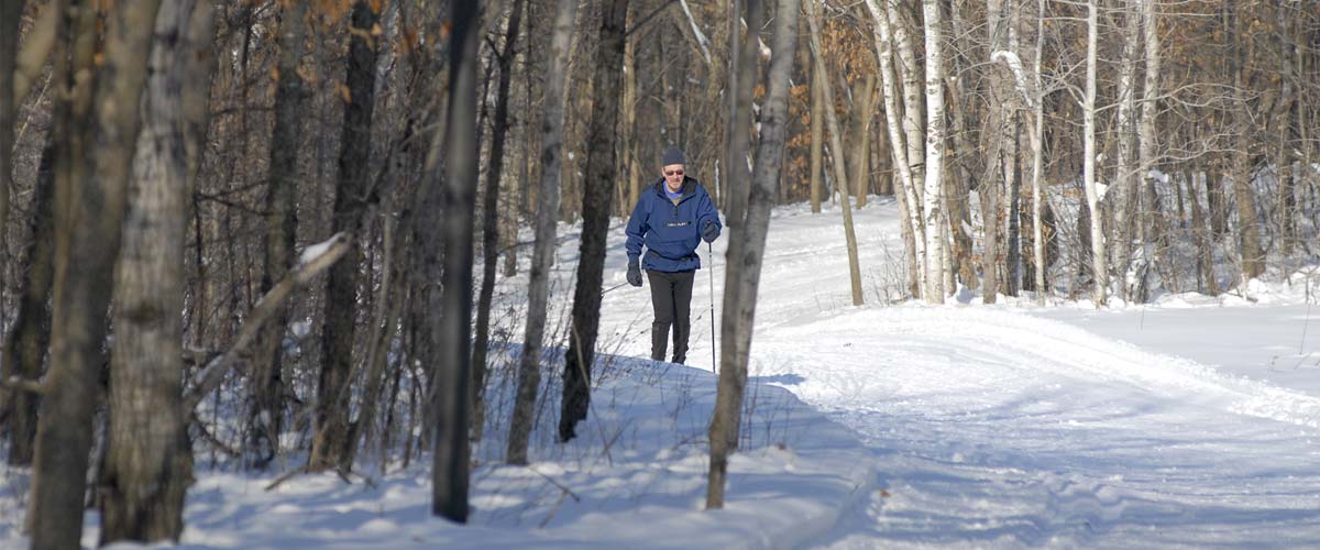 a man in a blue jacket skis on a trail in the woods.