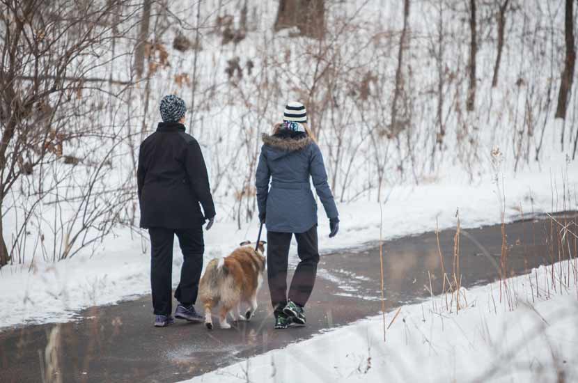 two people walking a small dog on a paved trail