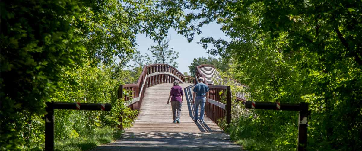 a man and woman walk over a wooden bridge in a wooded area.