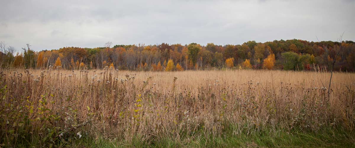 fall colors against a prairie.