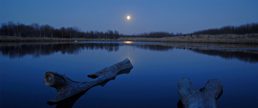 a calm lake at night with a moon overhead and reflecting in the water.