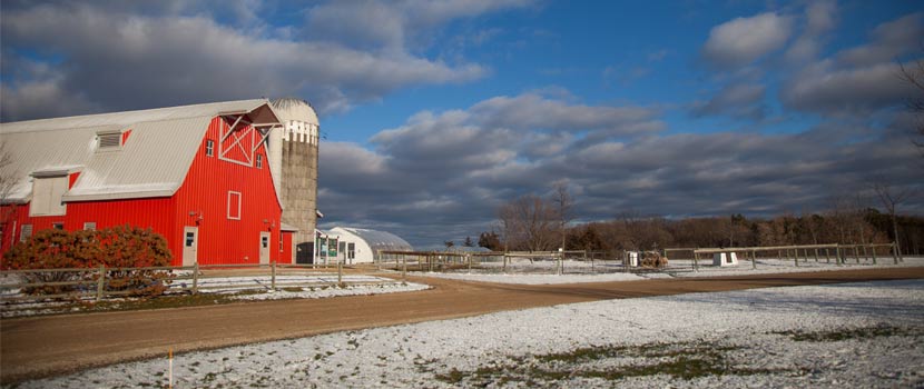 gale woods farm in the winter