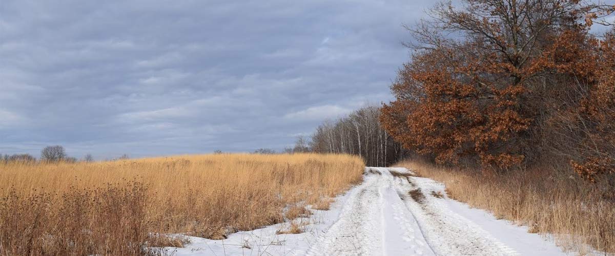 a snow-covered trail with prairie on the left and woods on the right.