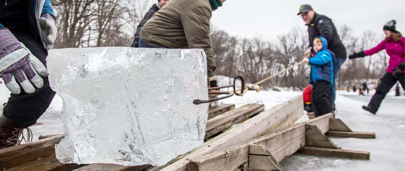 giant block of ice being pulled out of the water onto a pallet for ice harvesting