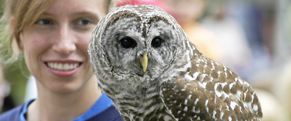 close up photo of a woman holding a barred owl