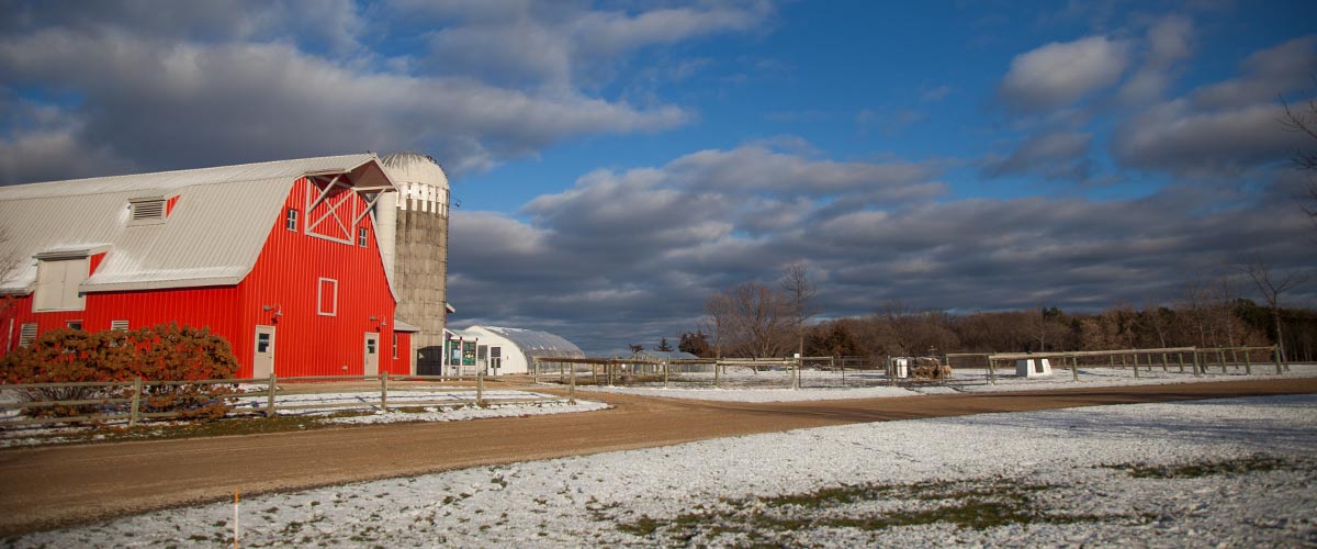 a red barn on a blue-sky day with a light layer of snow on the ground.