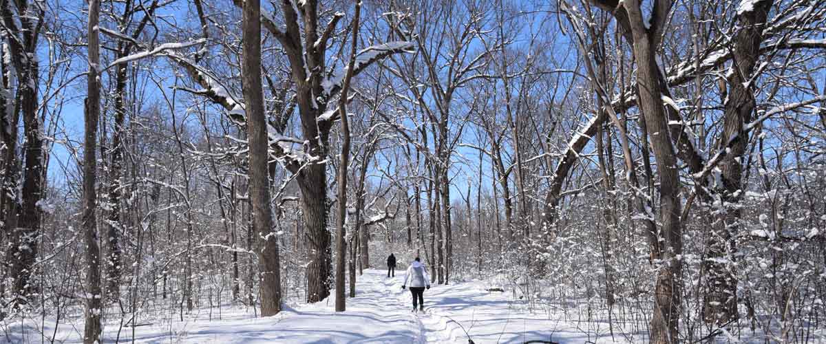 two people walk down a wooded trail on snowshoes on a sunny day. The trees are coated in snow.