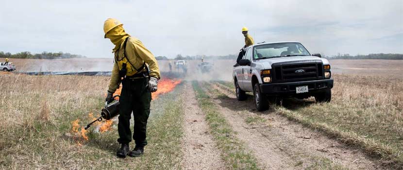 A person in yellow fire-resistant gear lights the edge of a prairie on fire with a metal drip torch. A pickup truck follows behind with a water tank.