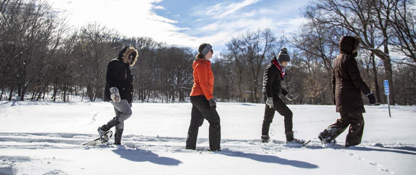 four people snowshoeing on a sunny day.