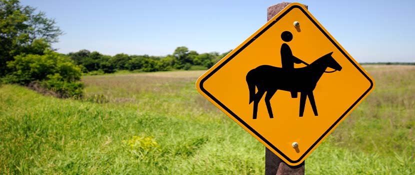 horse trail sign with a lush prairie in the background