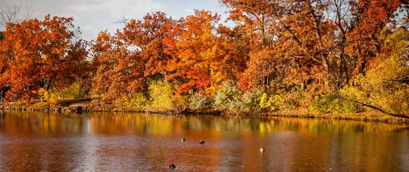 Fall colors reflect on the shores of a lake.