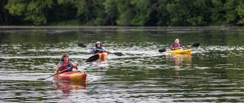 Three people paddle kayaks on a lake in the summer.