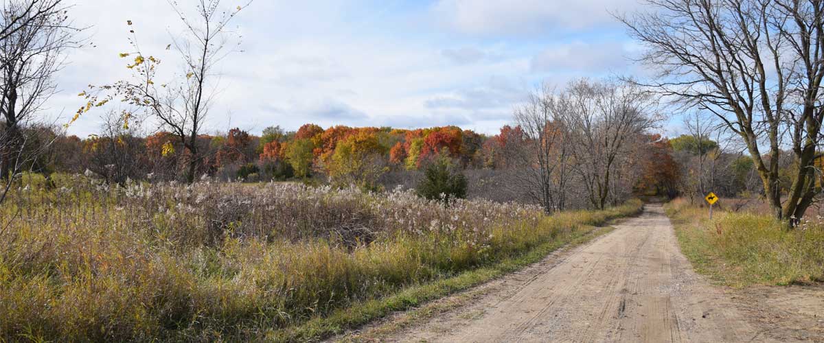 A dirt road cuts through prairie grasses. A stand of colorful fall trees can be seen.