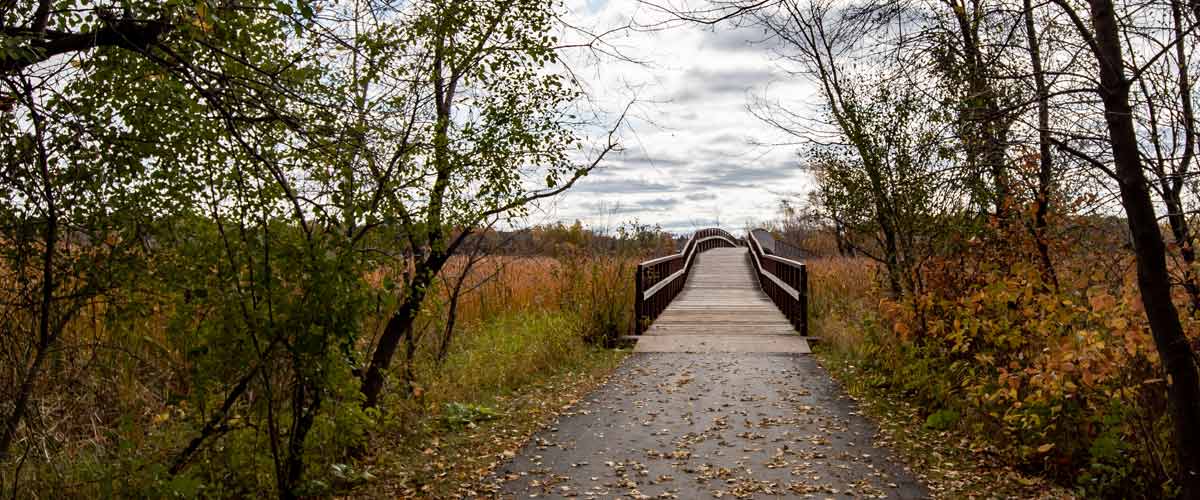 A paved trail leads to a wooded bridge in the fall.