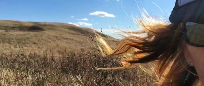 Half of a woman's face. Her hair is blowing in the wind and there is a grassy field behind her.