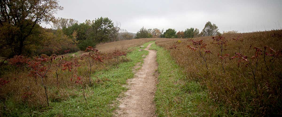 landscape photo of a singletrack trail through prairie