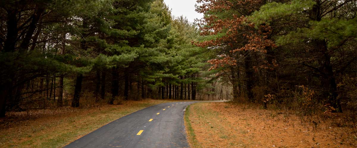 A paved trail cuts through tall evergreen trees on a cloudy day.