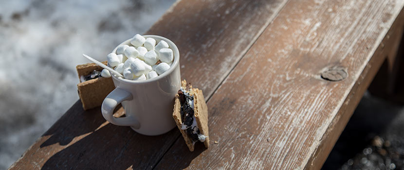 s'mores and mug of cocoa