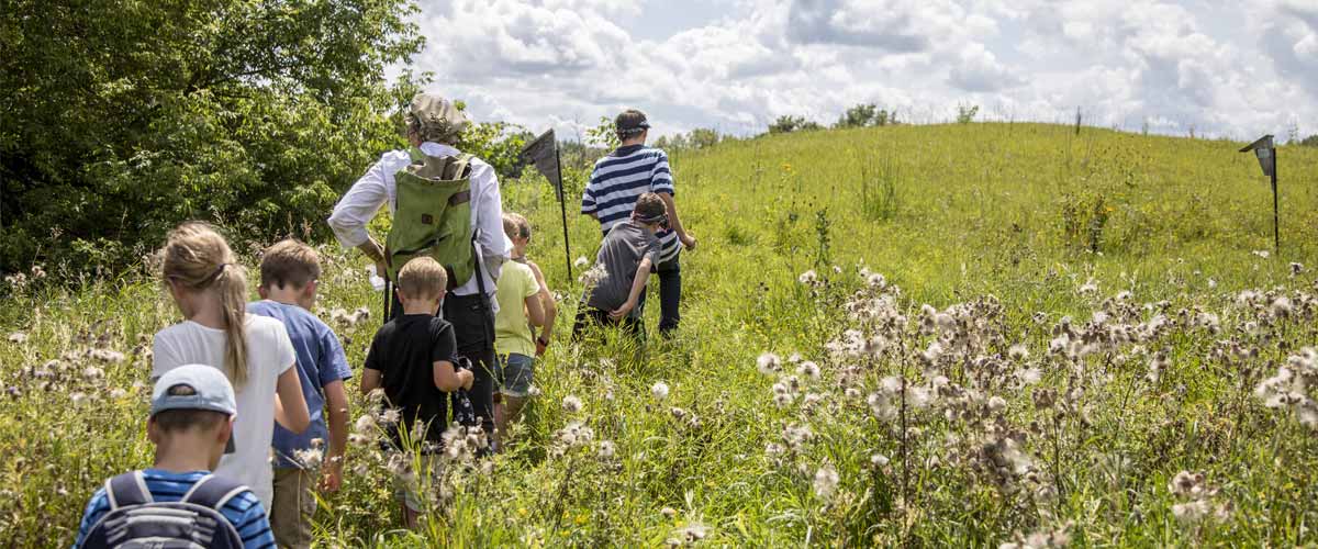 Kids follow an adult into a prairie in the summer.
