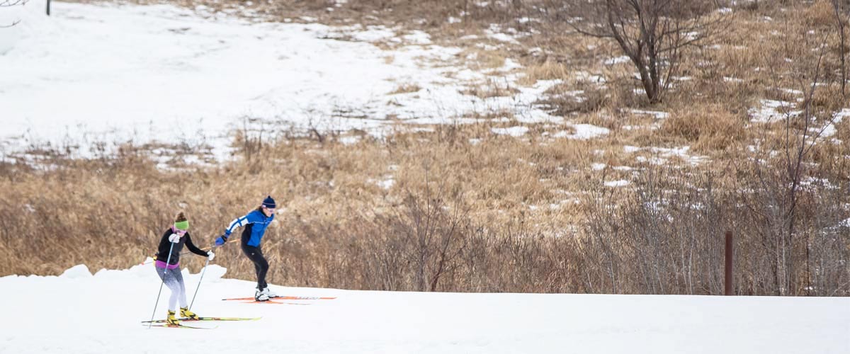 Two people cross-country ski on a trail next to brown grasses.