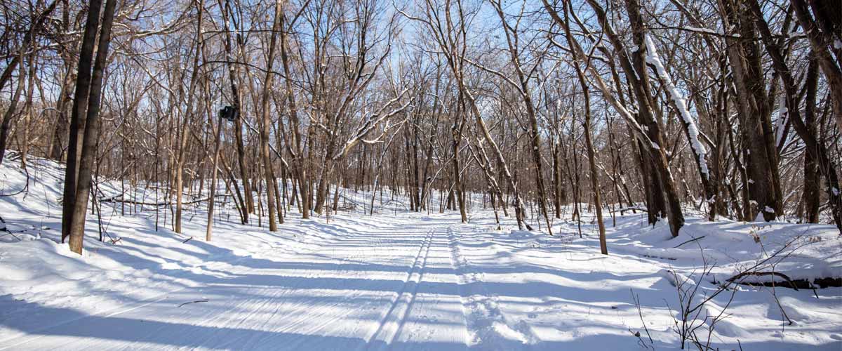 A groomed ski trail cuts through a forest.