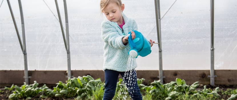 A young girl waters plants in a greenhouse.